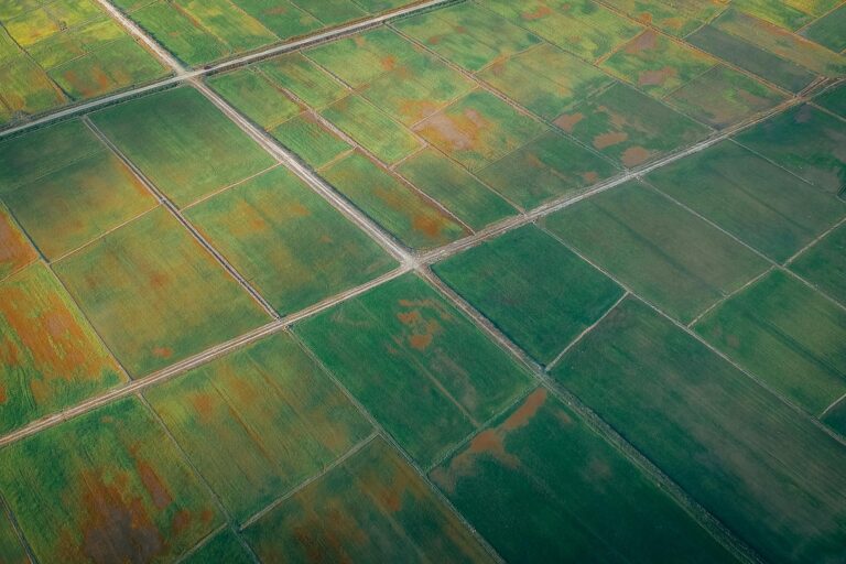 A bird's eye view of lush green farmlands showcasing agricultural patterns.