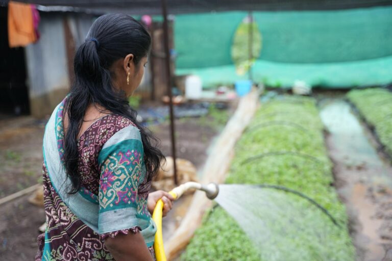 A woman in traditional attire waters crops on a rural Indian farm.