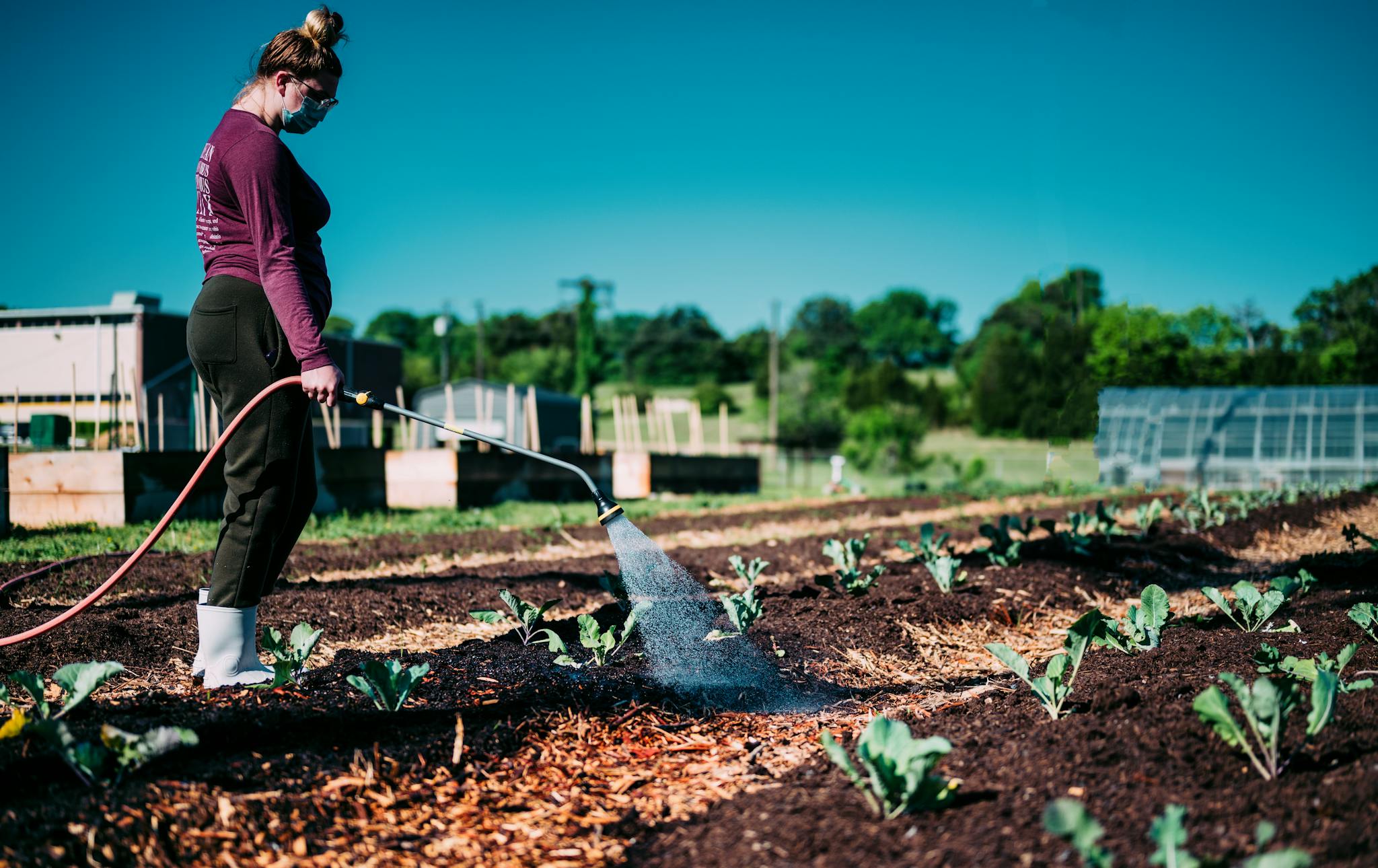 A woman waters crops in an urban farm, promoting sustainable agriculture.
